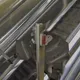 Downonly