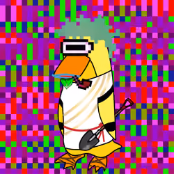 BASSIE #717