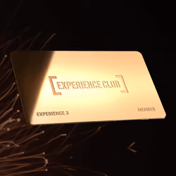 Experience3 - Gold