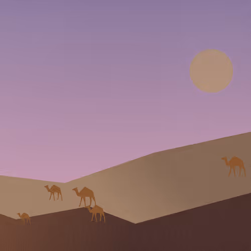 Oasis Odyssey