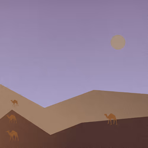 Oasis Odyssey