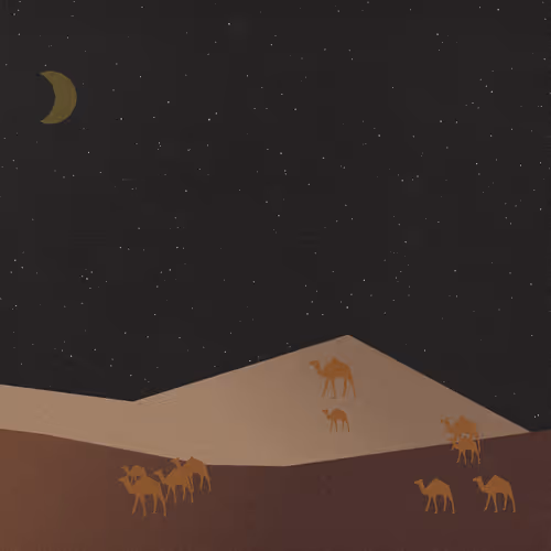 Oasis Odyssey