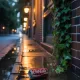 Cocacola