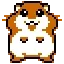 Hamster Dance 1