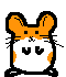 Hamster Dance 777
