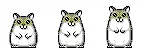 Hamster Dance 1