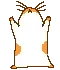 Hamster Dance 1