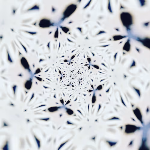 Kaleidoscope - PfG16680Bp