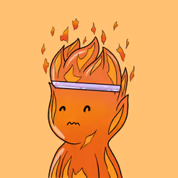 24