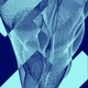 LifeForm #481