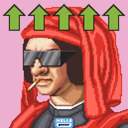 Enzo #1308