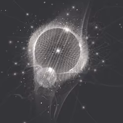 Electromagnetic Force