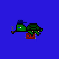 Jail Turtle #3694
