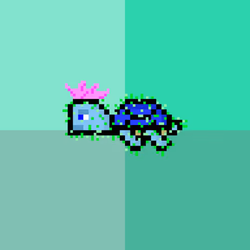 Jail Turtle #2437