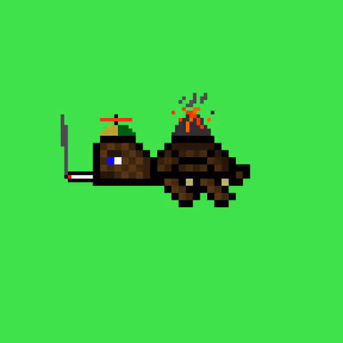 Jail Turtles