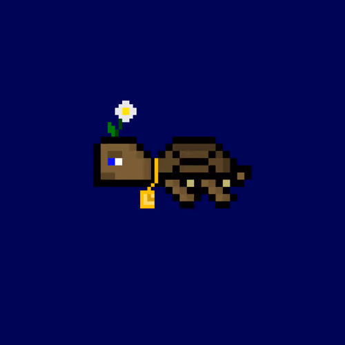 Jail Turtle #7075