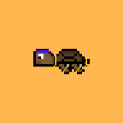 Jail Turtle #7895