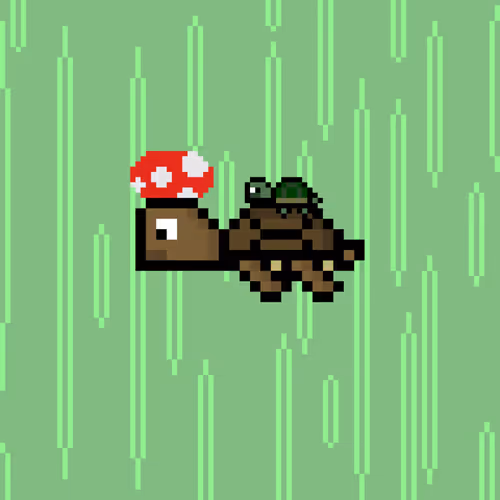 Jail Turtles