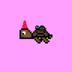 Jail Turtle #7905