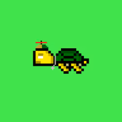 Jail Turtle #8808