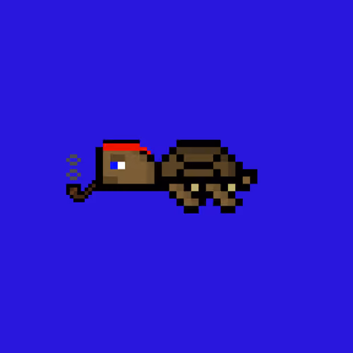 Jail Turtle #9633