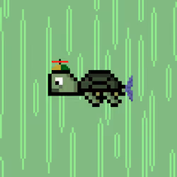Jail Turtle #7912