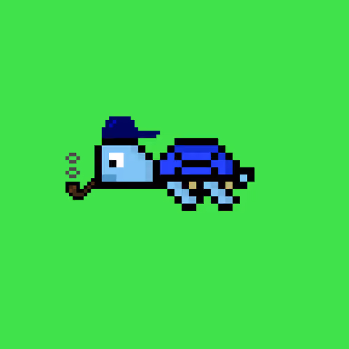 Jail Turtle #5426