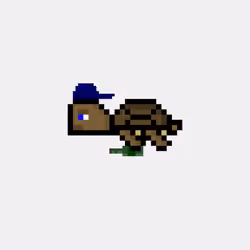 Jail Turtle #5513