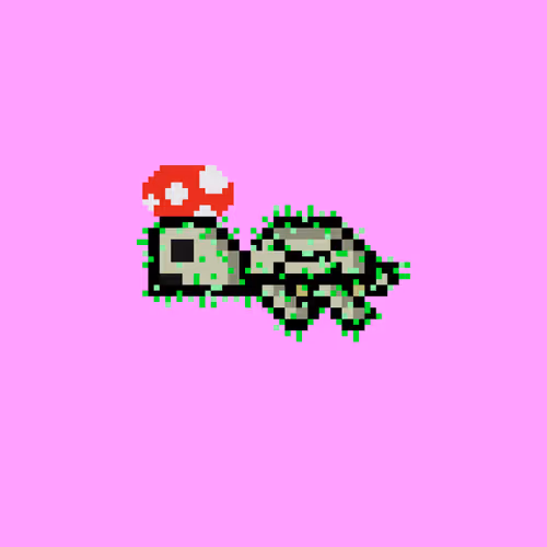 Jail Turtles