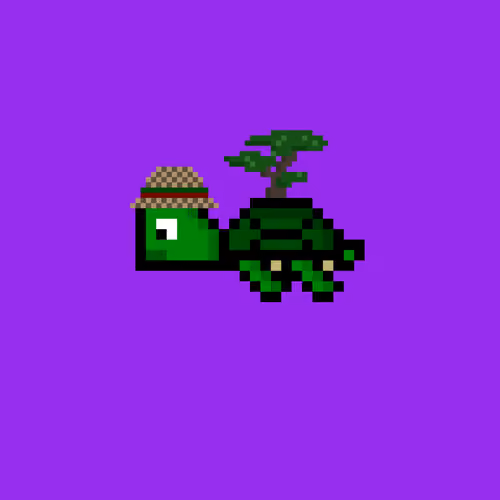 Jail Turtle #1983