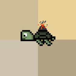 Jail Turtle #2836