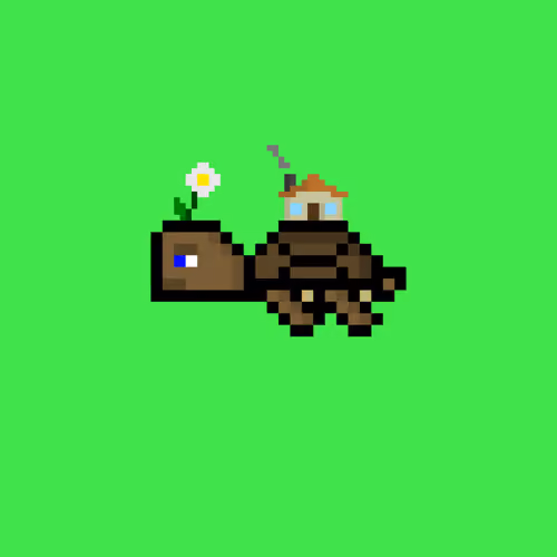Jail Turtle #1054