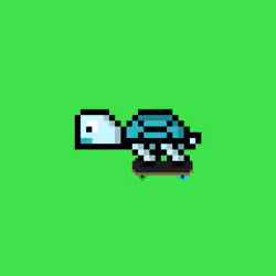 Jail Turtle #8030