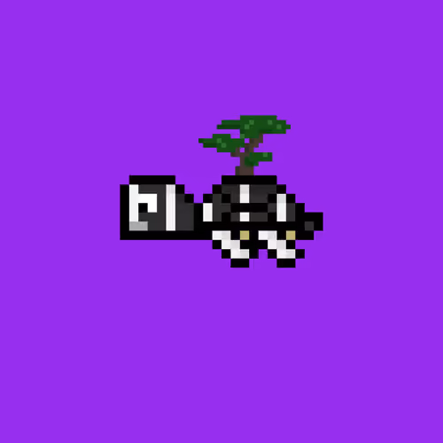 Jail Turtle #1419