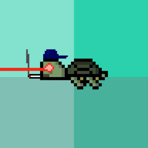 Jail Turtles