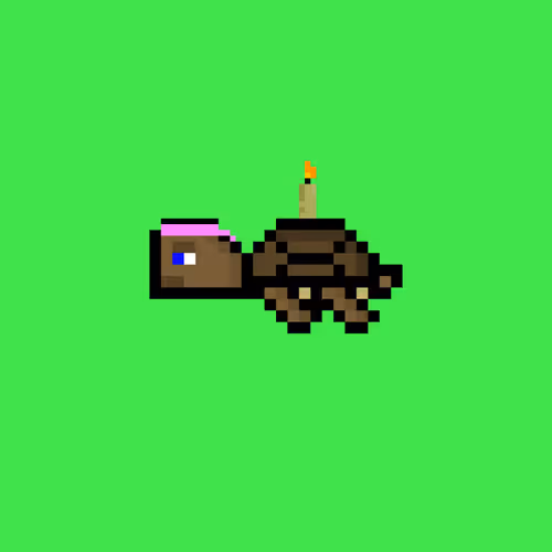 Jail Turtles
