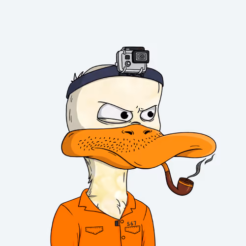 Rebellious Duck #4865