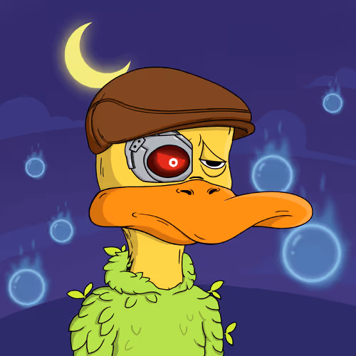 Bored Ducks Yacht Club