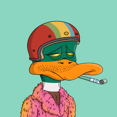 Bored Ducks Yacht Club