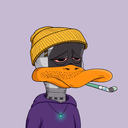 Bored Ducks Yacht Club