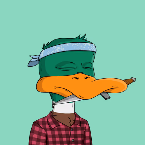Bored Ducks Yacht Club