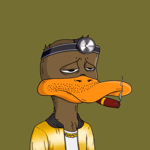 Bored Ducks Yacht Club