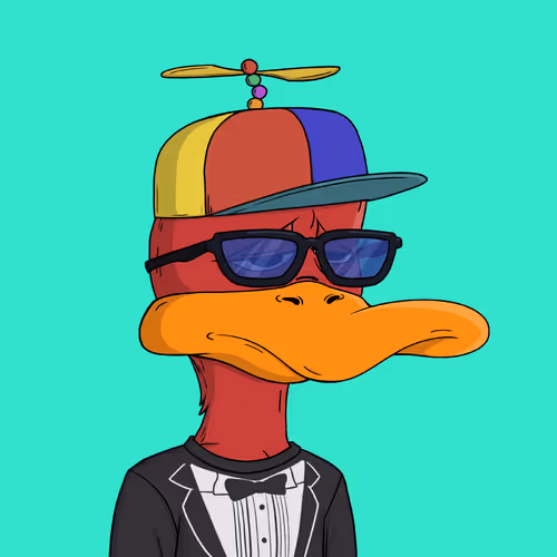 Bored Ducks Yacht Club