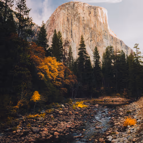 Along The Merced By Patrick Koetzle