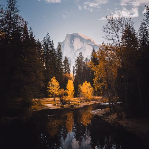 Along The Merced By Patrick Koetzle