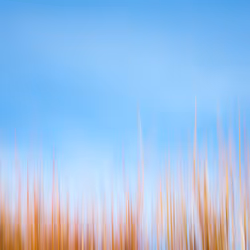 Kinetic Abstraction #08