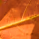 45