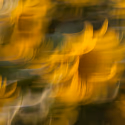 Kinetic Abstraction #07