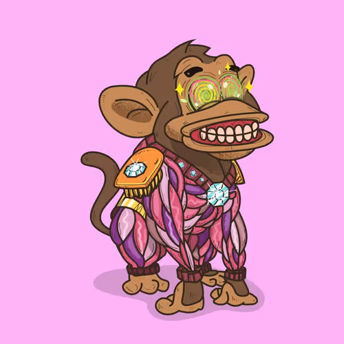 Jimmy The Monkey V2