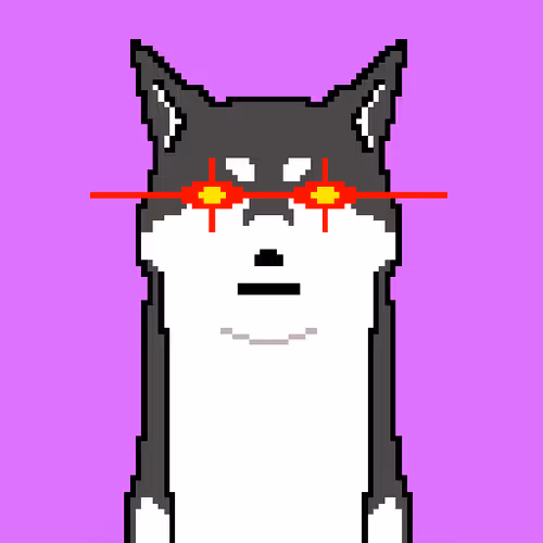 Shibacryptonft Official